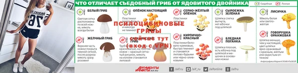 марки lsd Краснослободск