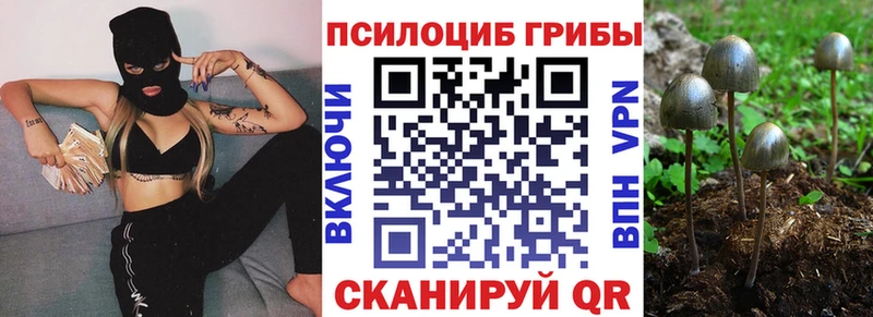наркотики  Нерчинск  Псилоцибиновые грибы GOLDEN TEACHER 