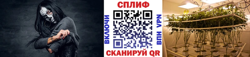 Бошки Шишки Ganja Нерчинск